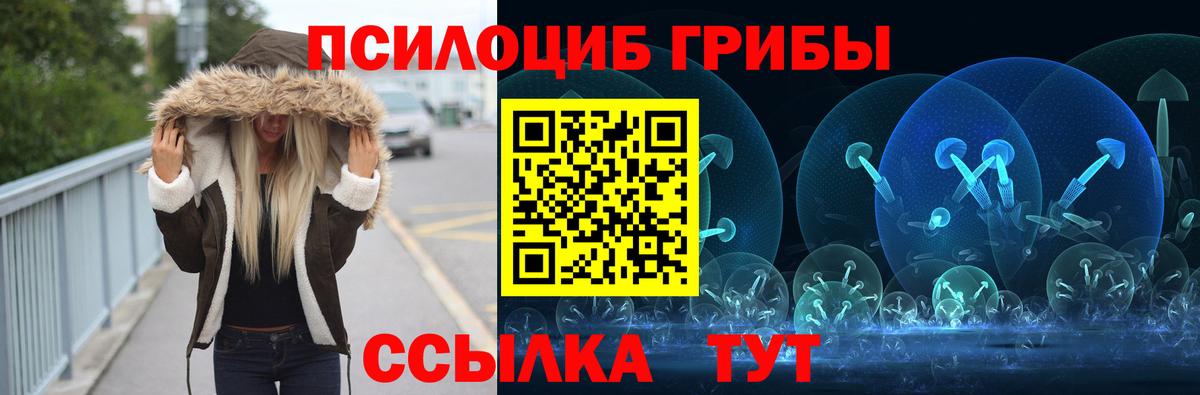 Псилоцибиновые грибы GOLDEN TEACHER Новочебоксарск
